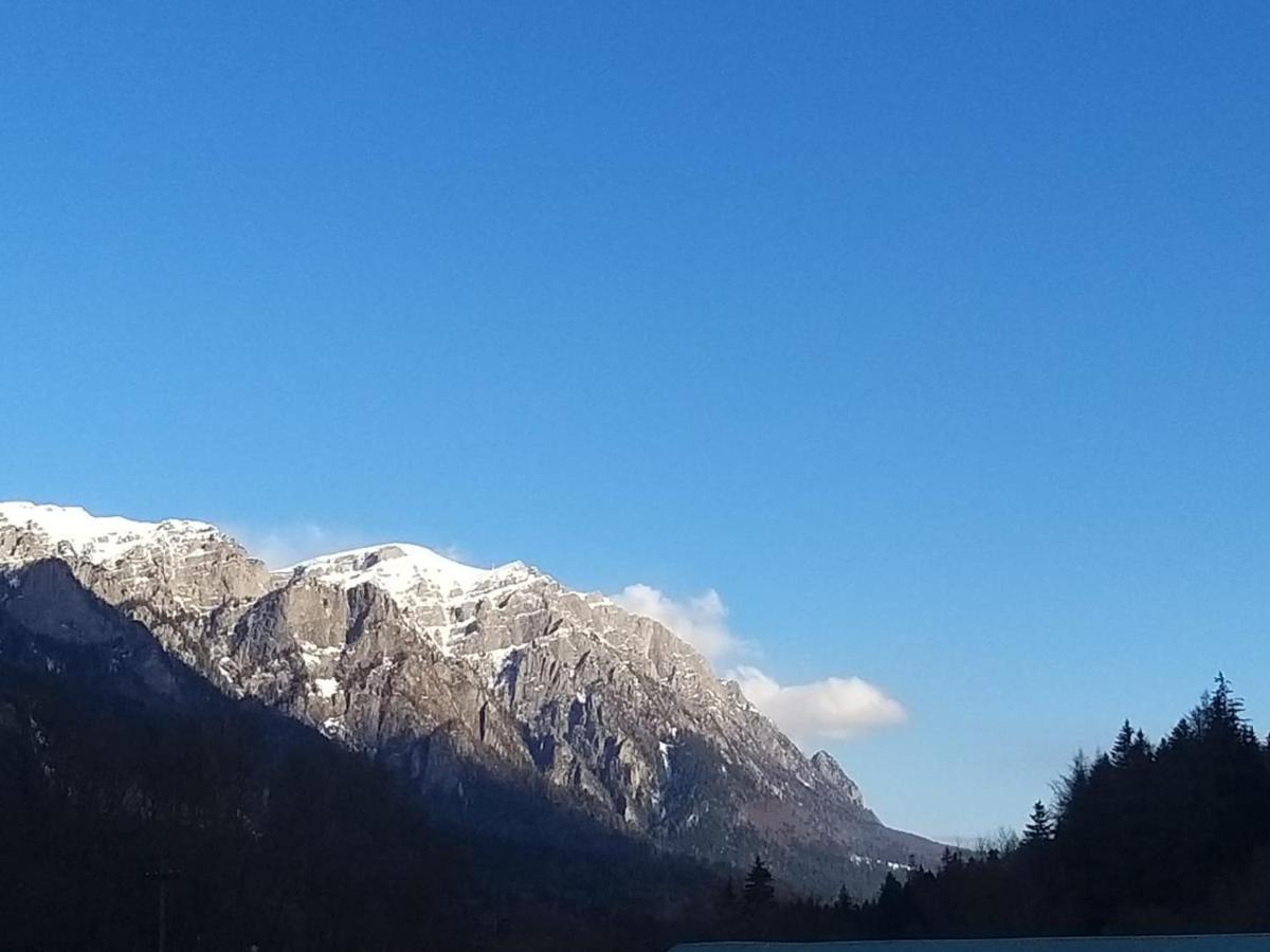 Apartament Greenstar Sinaia Eksteriør bilde