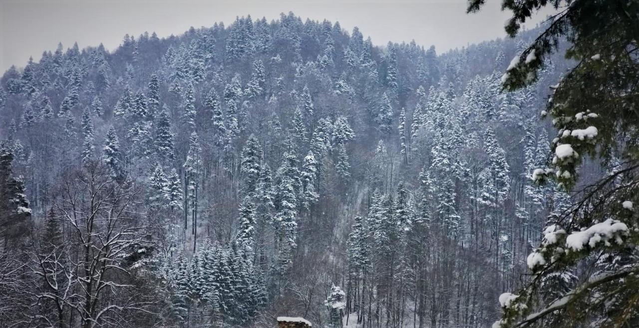 Apartament Greenstar Sinaia Eksteriør bilde