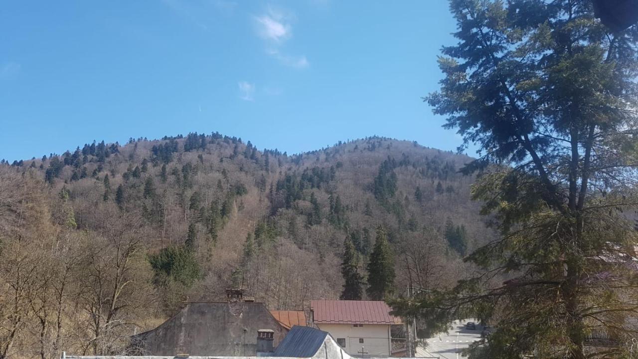 Apartament Greenstar Sinaia Eksteriør bilde