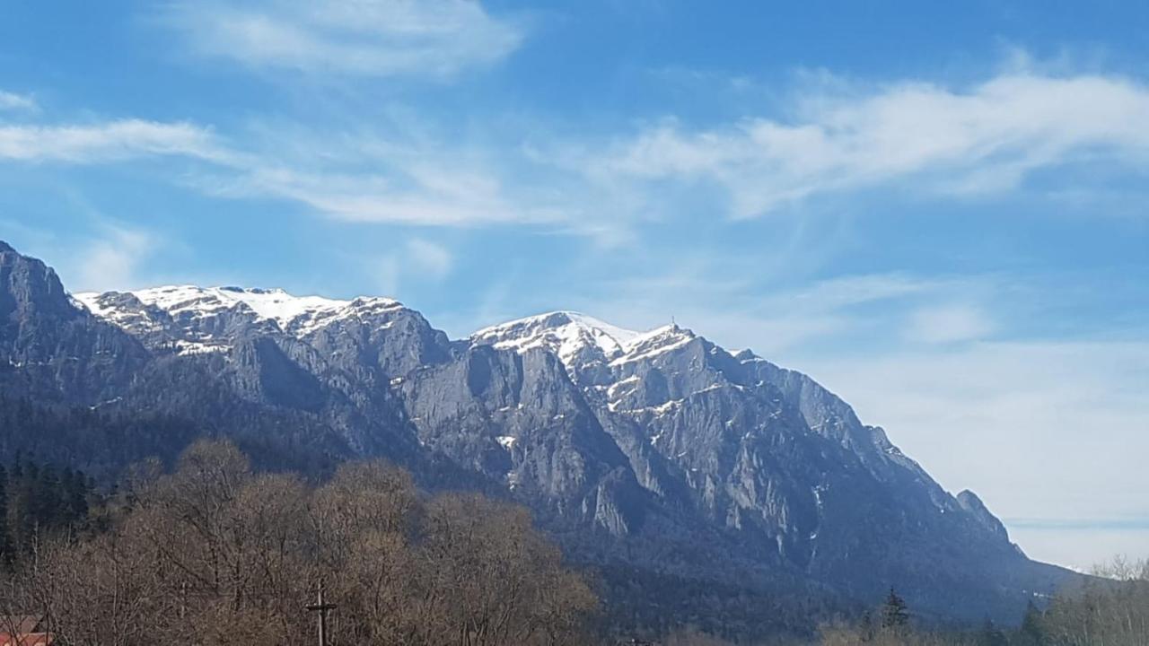 Apartament Greenstar Sinaia Eksteriør bilde
